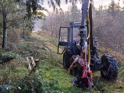 Durchforstungsarbeiten mit Vimek 404T und Alstor 822