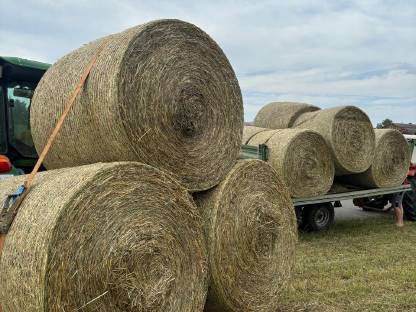 Bild 2:Heuballen
