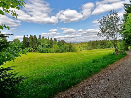 Suche Landwirtschaft/Pferdehof auf Leibrente oder Kauf