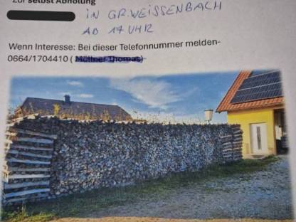 Buchenholz