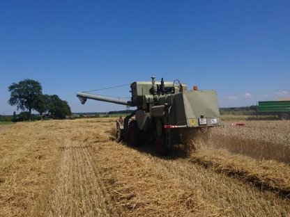 Bild 4:Mähdrescher Claas Matador Gigant