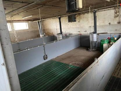 Bild 9:Schweinebauern bei Bedarf Fütterung, Aufstallung melden