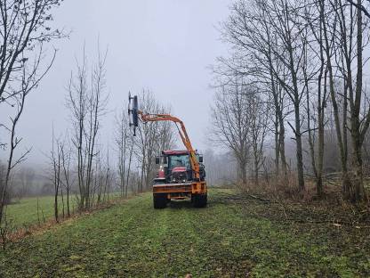 Bild 4:Heckenschnitt, Lichtraumschnitt, Säge, Ausleger, Mulcher