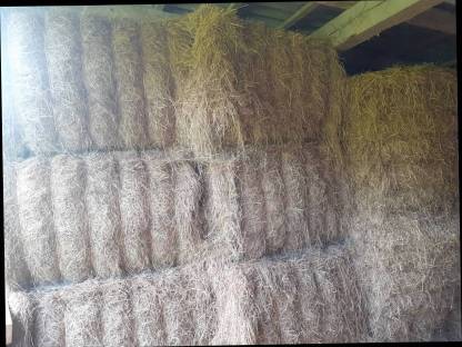 Heuballen Quaderballen Grummet