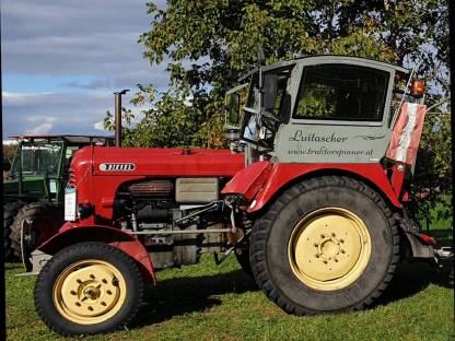 Bild 2:Steyrtraktor 185 Oldtimer