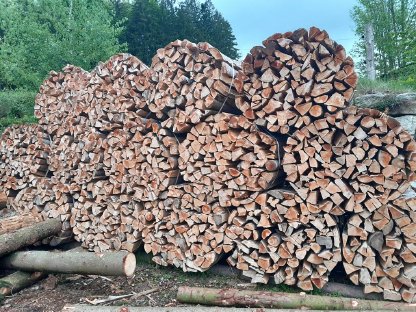 Brennholz