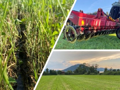 Bild 3:Bodennahe Gülleausbringung