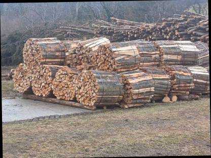 Buchenholz