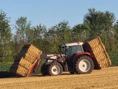 Bild 3:Mitarbeiter für Weinbau und Landwirtschaft