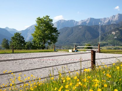 Bild 3:Bauernhaus mit Pferdehaltung und Gastronomie in Saalfelden