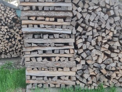 Brennholz Hartholz Esche