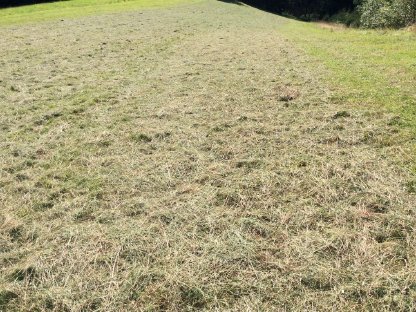 Bild 9:Pöttinger Hit 58 Kreiselheuer Heuwender (Verschleißteile neu)