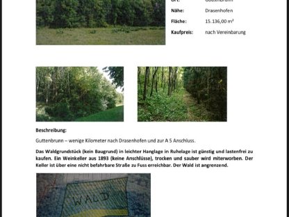 Wald mit Weinkeller in NÖ zu verkaufen