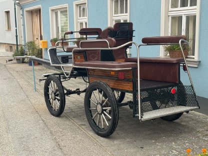 Bild 2:Trainingswagen/Wagonette Kutsche