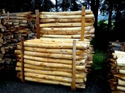 Bild 2:Akazie Pfähle, sägegespalten und naturrund