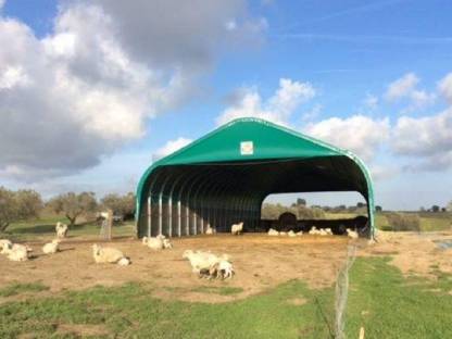 Bild 5:Zelthallen, Tunnel, Lagerhallen, Rundbogenhalle, Stallung
