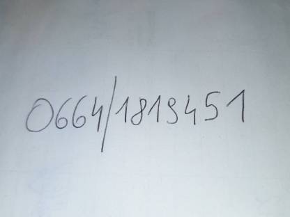 Bild 6:Steirische Ziehharmonika Parz