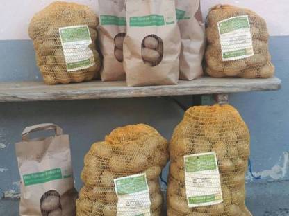 Waldviertler Bio-Kartoffeln