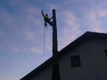 Bild 7:Forstunternehmen im Innviertel