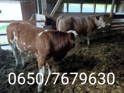 BIO Fresser/Einsteller
