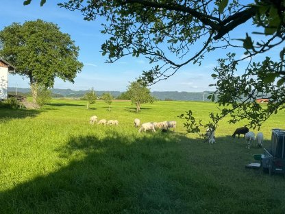 Landwirt sucht Hof