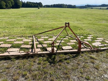 Bild 3:Wiesenegge Wölfleder 4 m