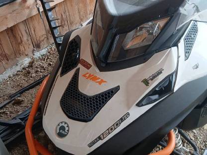 Bild 6:LYNX Motorschlitten