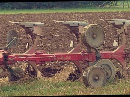 Bild 4:Vogel & Noot 3 Schar Pflug