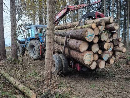 Rückewagen Eigenbau