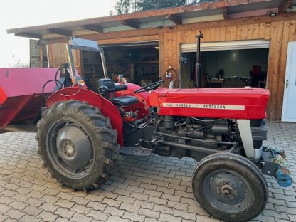 Bild 4:Massey Ferguson 135 Agrarfahrzeug