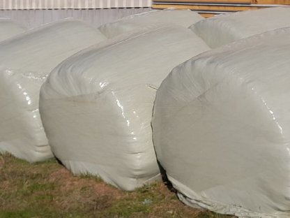 Silageballen