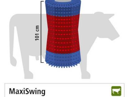 Bild 3:Swing Kratzbürste neues Modell
