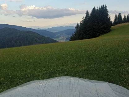 Vergebe Wiesen