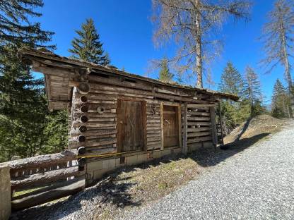Altholz Hütte