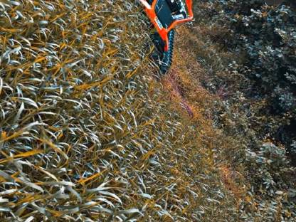 Bild 5:Holzschlägerung und Erdbewegung, Forstwegebau