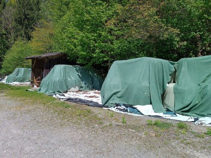 Bild 2:Grassilage 1. + 4. Schnitt