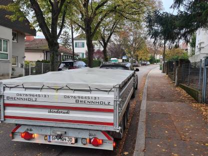 Bild 2:Brennholz Hartholz Esche, Eiche