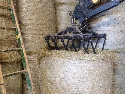 Bild 7:Heu, Heuballen, Rundballen 1. Schnitt 2024 zu verkaufen