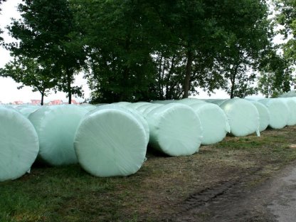 50 Stk. Siloballen 1. Schnitt 2025