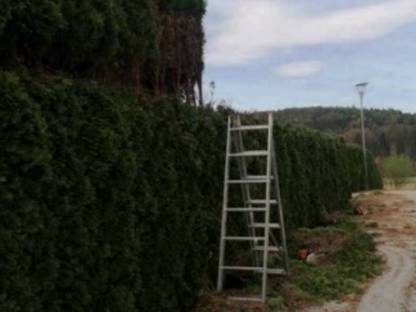 Bild 3:Übernehme Gartenarbeiten!