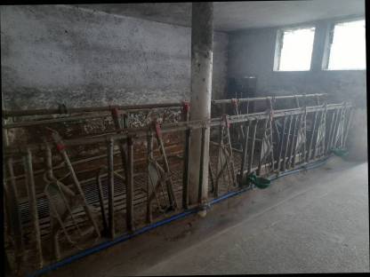 Bild 2:aufstallung betriebsauflösung