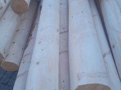 Bild 3:Frisch geschälte Holzpflöcke