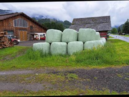 Bild 3:Grassilageballen