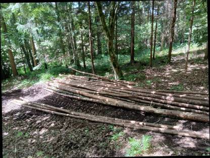 Brennholz Fichte