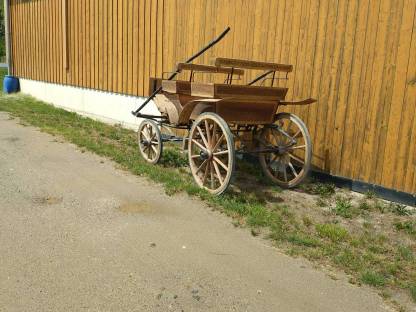 Bild 2:Pferdekutsche