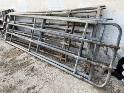 Bild 3:Aufstallung Rinder