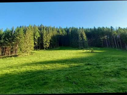 Land- und forstwirtschaftlicher Betrieb