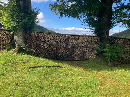 Bild 2:Brennholz als Meterware
