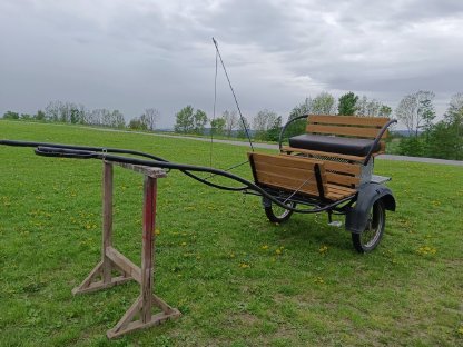Pferdewagen+ Geschirr