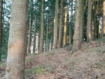 15 ha Wiesen und Wald arrondiert